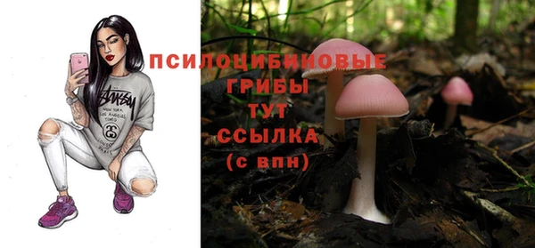 индика Алексин