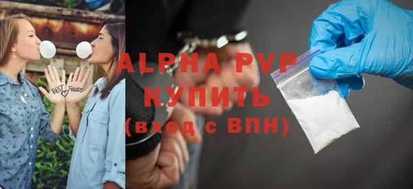 индика Алексин