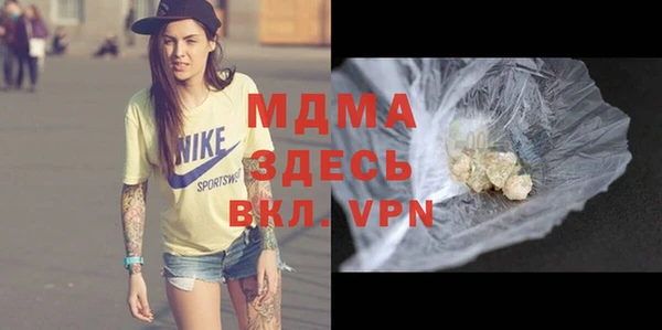 индика Алексин