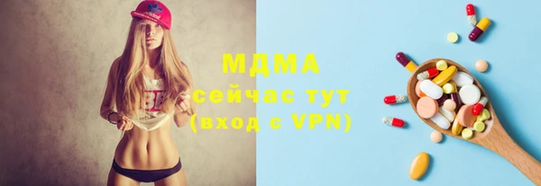 индика Алексин