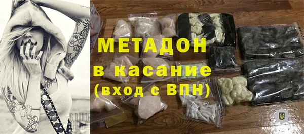 индика Алексин