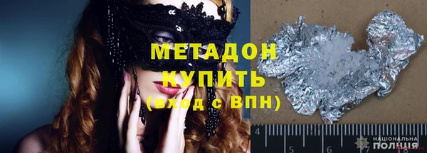 индика Алексин