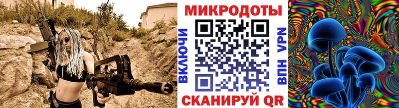 купить   Новая Ляля  Псилоцибиновые грибы GOLDEN TEACHER 